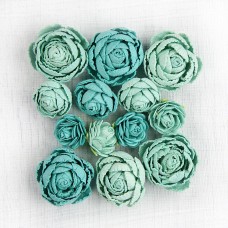 English Roses - Arctic Ice English Roses - Arctic Ice