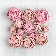 English Roses - Pearl Pink English Roses - Pearl Pink