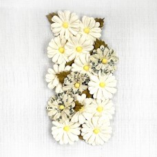 Valeria - Moon Light 14pcs Valeria - Moon Light 14pcs