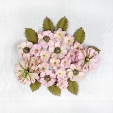 Renae - Pearl Pink Renae - Pearl Pink