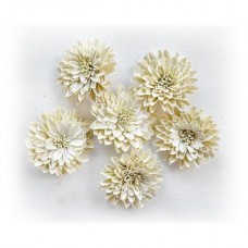 Nancy - Shabby Chic Nancy - Shabby Chic