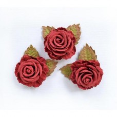Eva - Love and Roses Eva - Love and Roses
