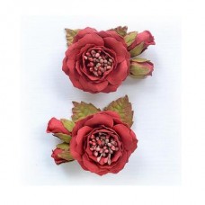 Marika - Love and Roses Marika - Love and Roses