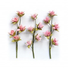Queenie - Celebrate Life Queenie - Celebrate Life
