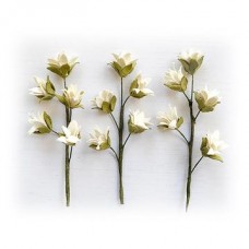 Queenie - Shabby Chic Queenie - Shabby Chic