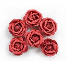 Ellis - Love and Roses Ellis - Love and Roses