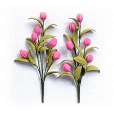 Tulip Bouquet - Celebrate Life Tulip Bouquet - Celebrate Life