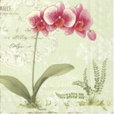 Serviette - L'Orchidee L/Green Serviette - L'Orchidee L/Green