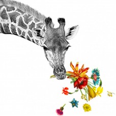Serviette - Happy Giraffe Serviette - Happy Giraffe