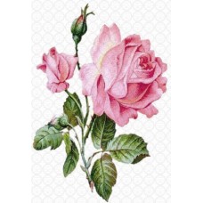 Waterslide A4 - Large Pink Rose Waterslide A4 - Large Pink Rose