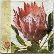 Serviette - Protea Serviette - Protea
