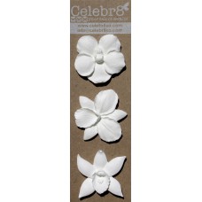 Celebr8 Resins - Orchids 4pc