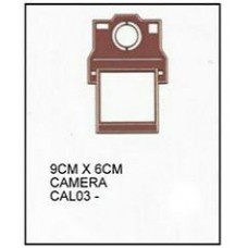 Captured Camera (Rust)