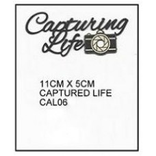 Captured Capturing Life (Dark Grey)
