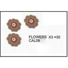 Captured Small Flowers (Rust)