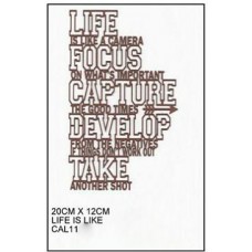 Captured Life is Like (Rust)