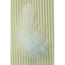 SM Poultry Feathers 10p/p White