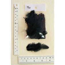 SM Poultry Feathers 10p/p Black