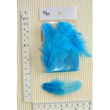 SM Poultry Feathers 10p/p Turquoise