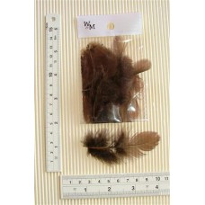 SM Poultry Feathers 10p/p Brown