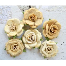 Rosa - Yellow