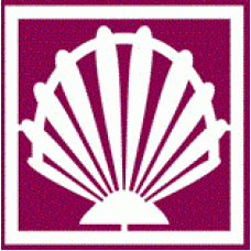 Celebr8 Loosies - Beach Vacation - Shell 1