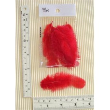 SM Poultry Feathers 10p/p Deep Red