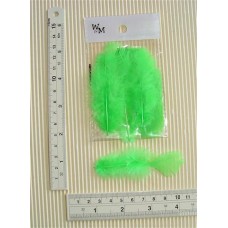 SM Poultry Feathers 10p/p Lime