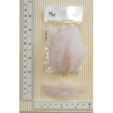 SM Poultry Feathers 10p/p Cream