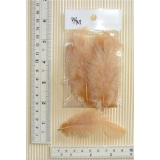 SM Poultry Feathers 10p/p Beige