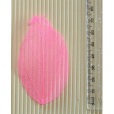 Skeleton Leaves Pink