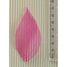 Skeleton Leaves Cerise