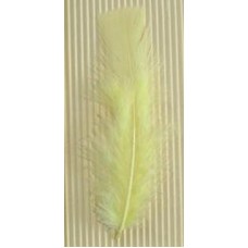 Turkey Flat Feathers 10p/p Light Yellow