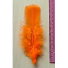 Turkey Flat Feathers 10p/p Orange