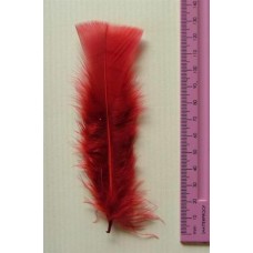 Turkey Flat Feathers 10p/p Maroon