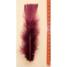 Turkey Flat Feathers 10p/p Plum