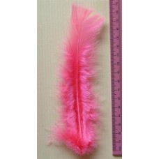 Turkey Flat Feathers 10p/p Fushia