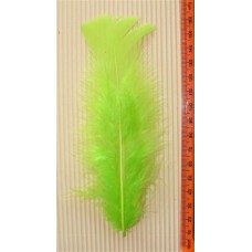 Turkey Flat Feathers 10p/p Lime