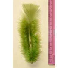 Turkey Flat Feathers 10p/p Emerald