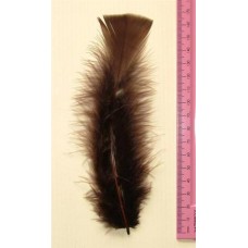 Turkey Flat Feathers 10p/p Brown