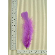 Turkey Flat Feathers 10p/p Light Purple