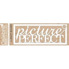 Celebr8 Mini Card - Picture Perfect